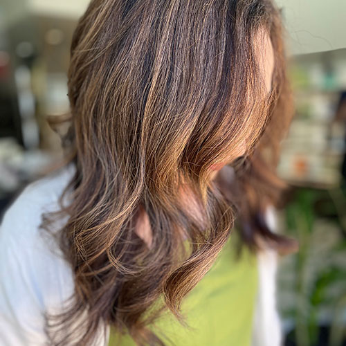 Brown Hair Color Light Highlights